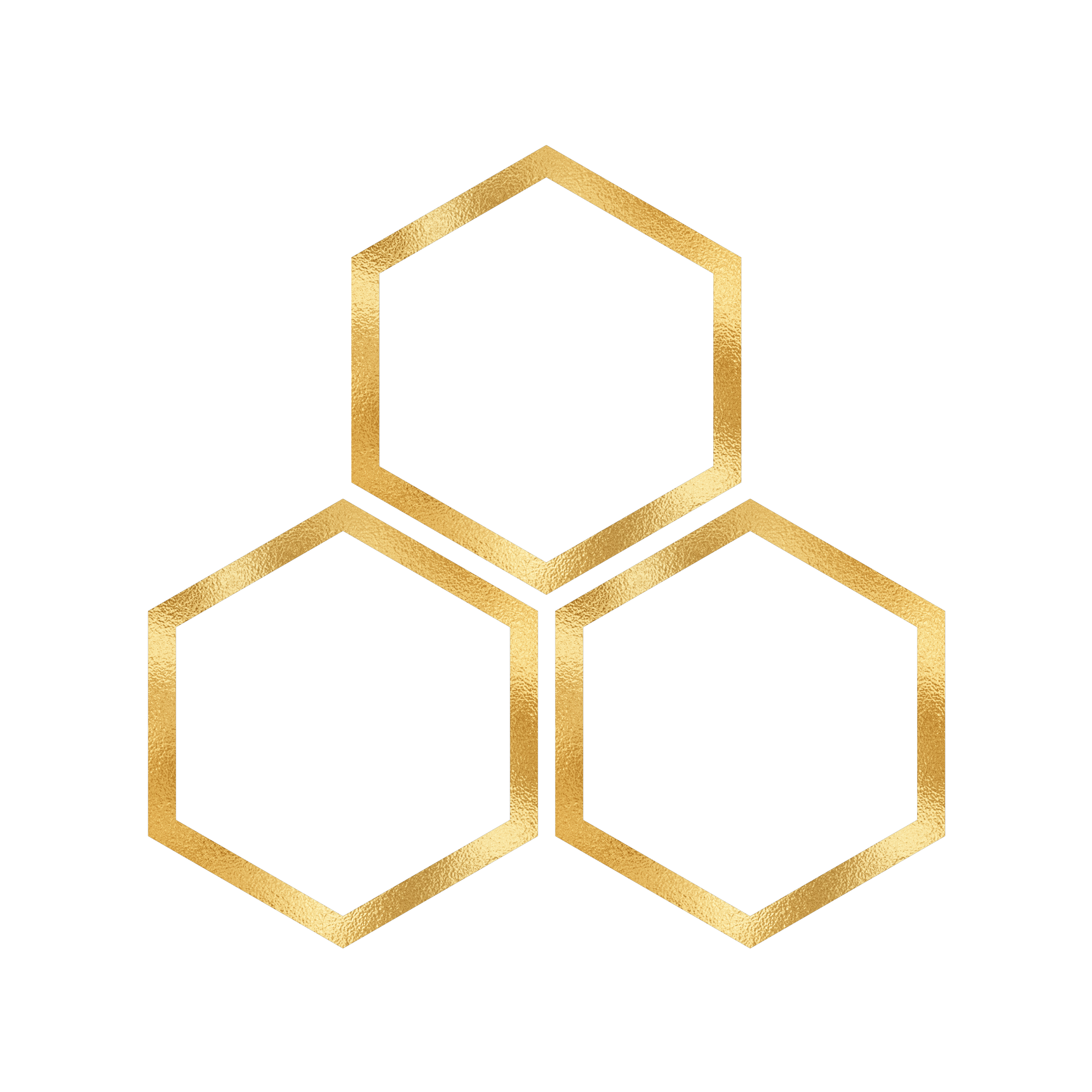 The Hive Collective Logo